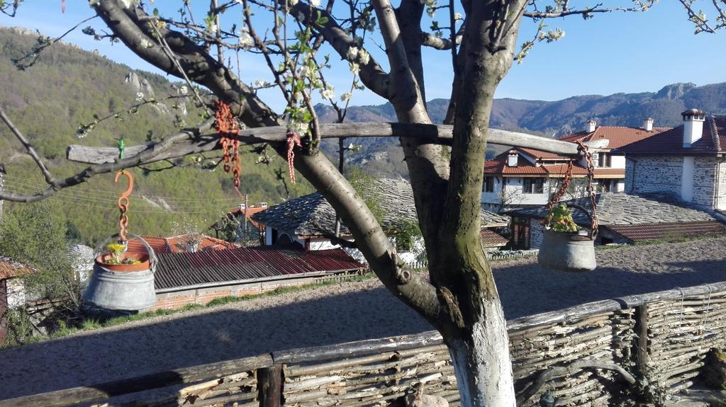 Semana Guesthouse Vrata Eksteriør bilde
